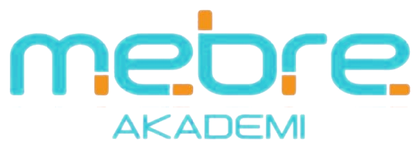 Mebre Akademi